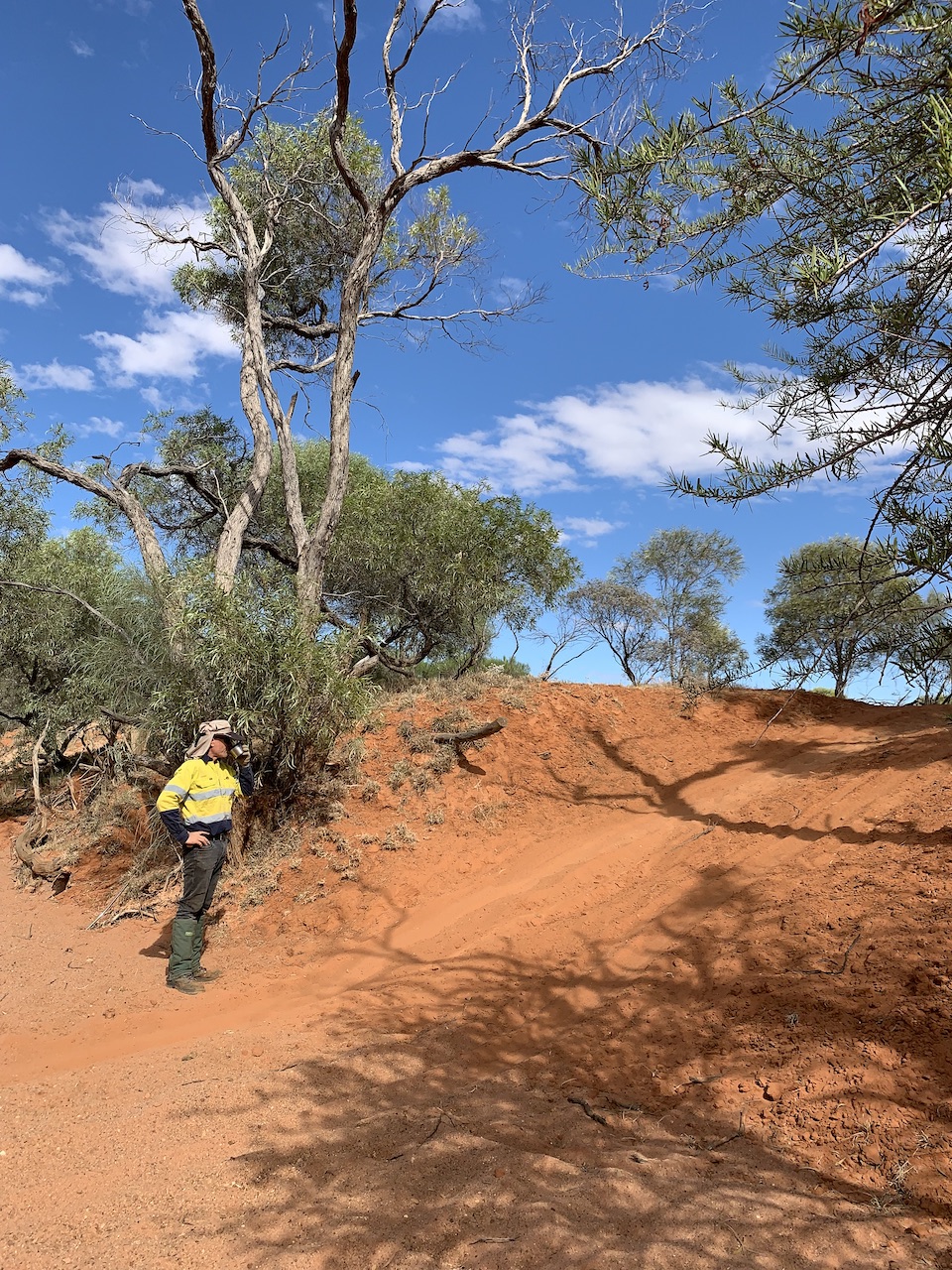 Minilya, Western Australia