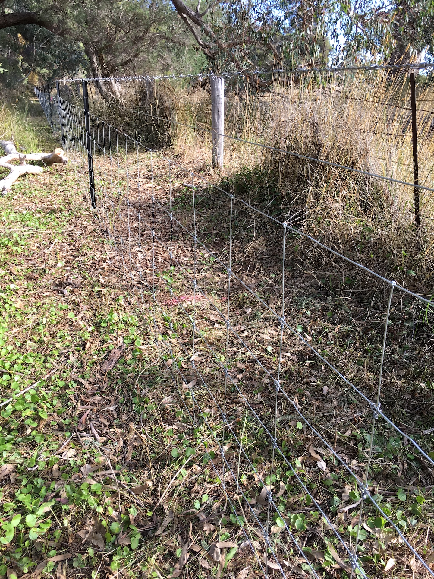 Fencing – Western Conservation